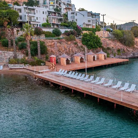 Ladonia Mio Mare Akyarlar