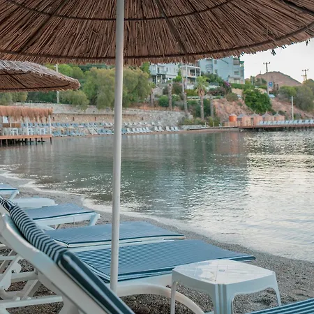 Ladonia Mio Mare Akyarlar